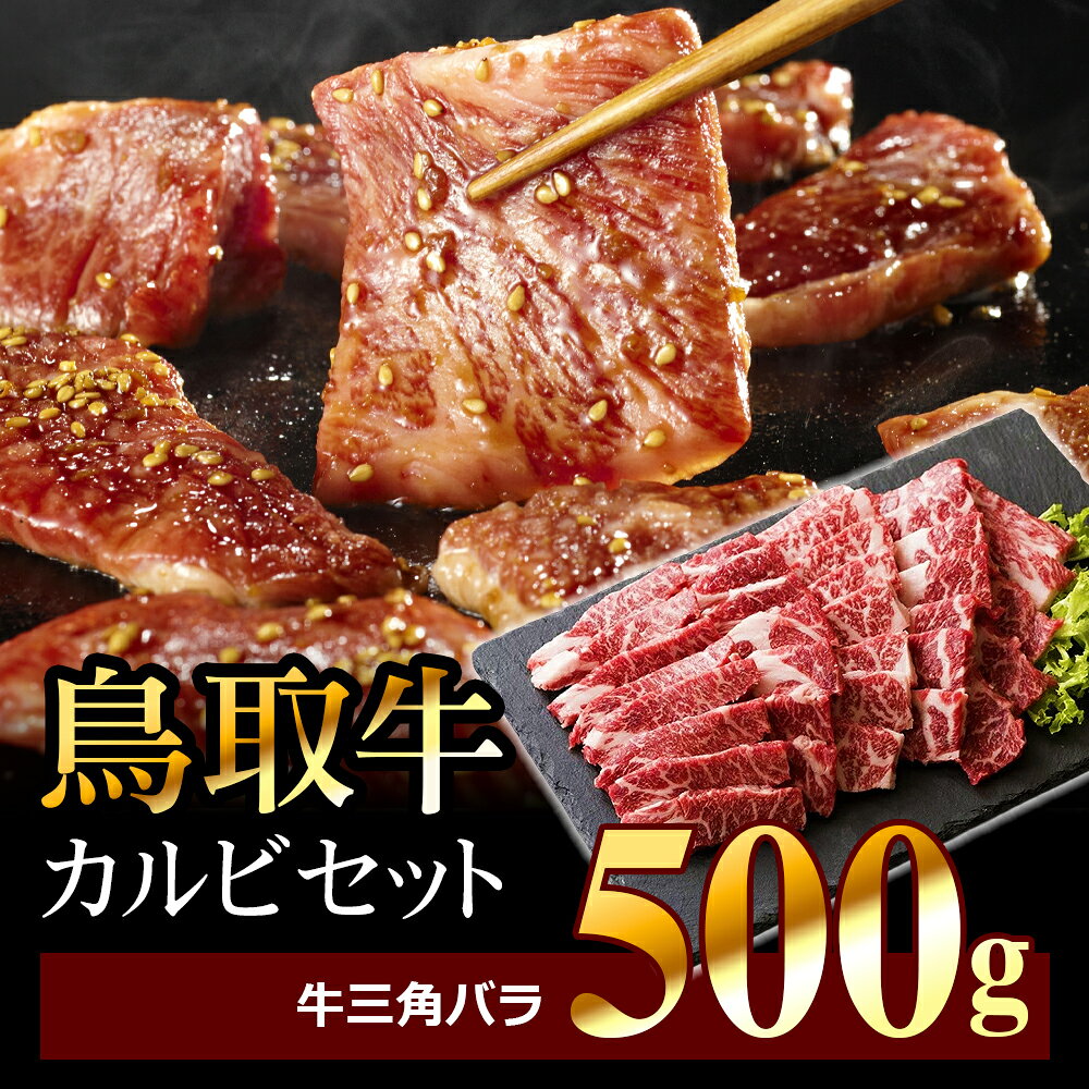 【ふるさと納税】AS-06　鳥取牛カルビセット 500g 牛肉 焼き肉 精肉 牛肉 500g バーベキュー 焼き肉 鳥取県 鳥取県産 大山町 大山 お土産 返礼品 高級 国産 国産カルビ 肉料理 お取り寄せ ご当地