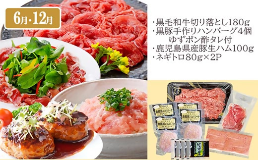 定期便3回配送　黒毛和牛・黒豚＆うなぎ DD5-0001【配送不可地域：離島】