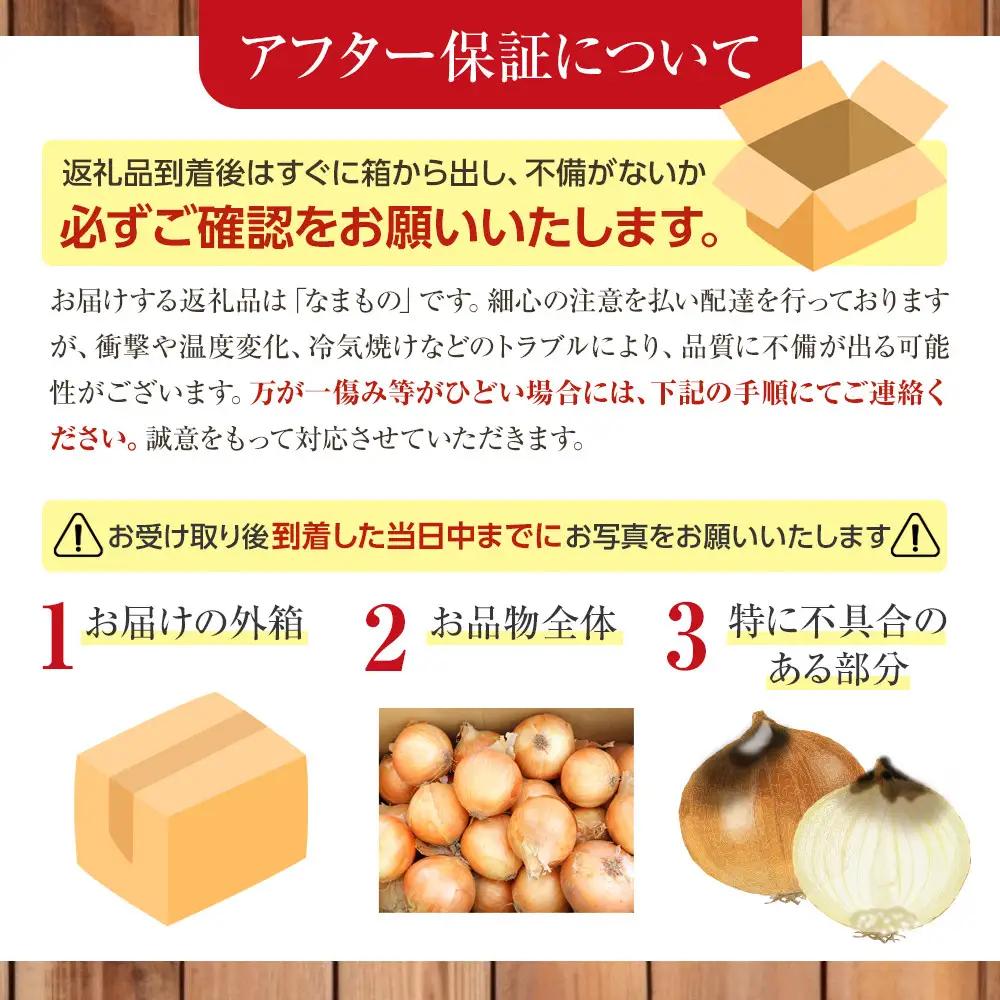 【先行予約】農家直送 低農薬 旭川産 玉ねぎＬサイズ20kg(2026年9月発送開始予定)_ | 玉ねぎ 05935