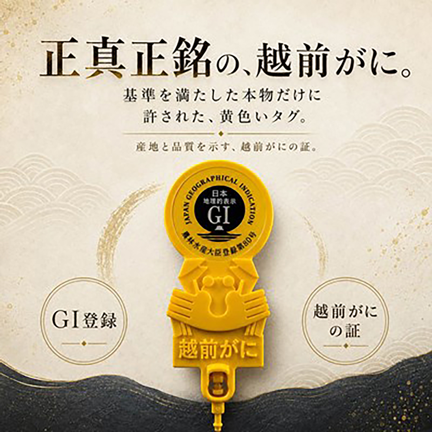 【先行予約/11月18日より順次配送】越前がに 800g×2杯 茹で 福井県産ズワイガニ / かに カニ 蟹 越前ガニ ズワイガニ ボイル / 小浜市 / 一進わかさ【配送不可地域：北海道・沖縄・離島