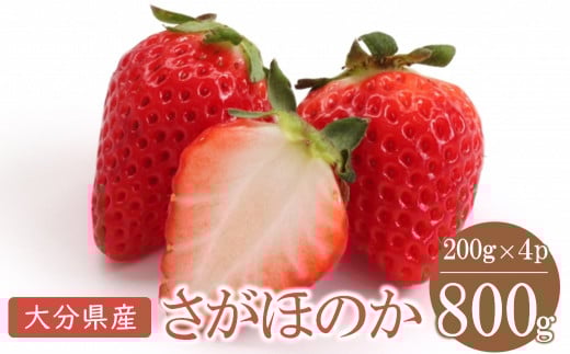 大分県産いちご さがほのか 約 800g ( 200g×4パック ) | 苺 イチゴ いちご ベリー フルーツ 果物 くだもの 九州産 大分県産 国産 産地直送 大分県 中津市