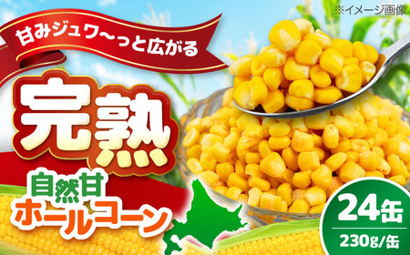 自然甘ホールコーン 缶詰 24缶 [AJAG009] トウモロコシ とうきび 缶詰め 食品 北海道 