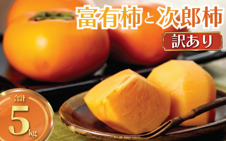 柿 訳あり 5kg 【富有柿 と 次郎柿】