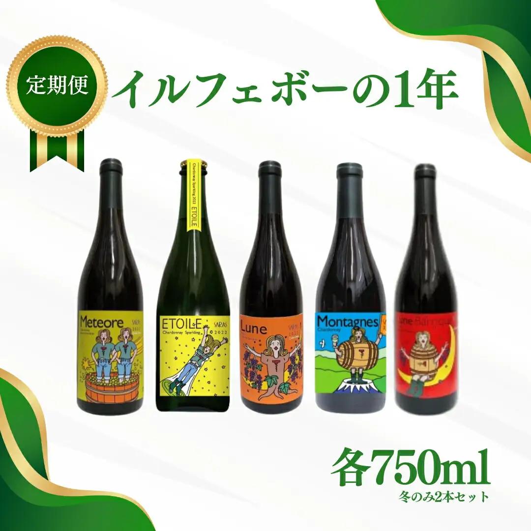 【定期便 4回】ワイン 計5種 季節ごとにお届け｜ ワイン