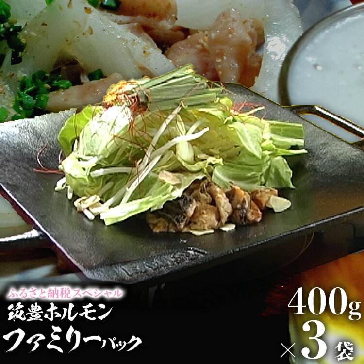 【ふるさと納税】ふるさと納税限定仕様 ファミリーパック【味付ホルモン400g×3、自家製煮込タレ×3、つけタレ×1】 白頭苑 ホルモン ホルモン鍋 お取り寄せグルメ お取り寄せ 福岡 お土産 九州 福岡土産 取り寄せ グルメ 福岡県