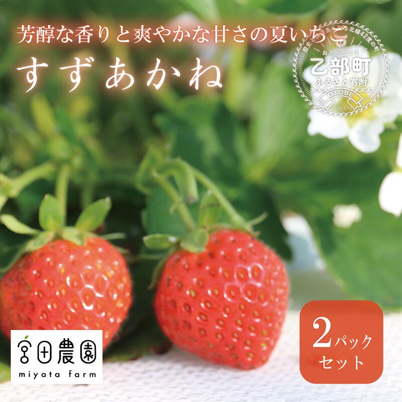 【ふるさと納税】＜すずあかね 2パックセット＞宮田農園こだわりの夏いちご！ すずあかね　甘酸っぱい　みずみずしい　北海道　北海道産　乙部町産　ケーキ　ショートケーキ　いちご　イチゴ　苺　夏