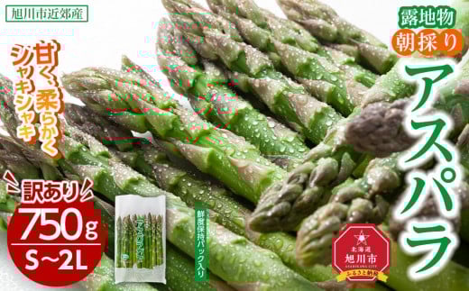 【訳あり】露地物朝採りアスパラ 750g×1 　鮮度保持フィルム入り 【 アスパラ アスパラガス 朝採り とれたて 野菜 旬 小分け 保存 産直 産地直送 お取り寄せ 旭川市 北海道 】_04751