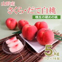 【ふるさと納税】山形産晩生のかための桃5kg(さくら、だて白桃) 【令和6年産先行予約】FU18-865 フルーツ くだもの 果物 お取り寄せ 先行予約