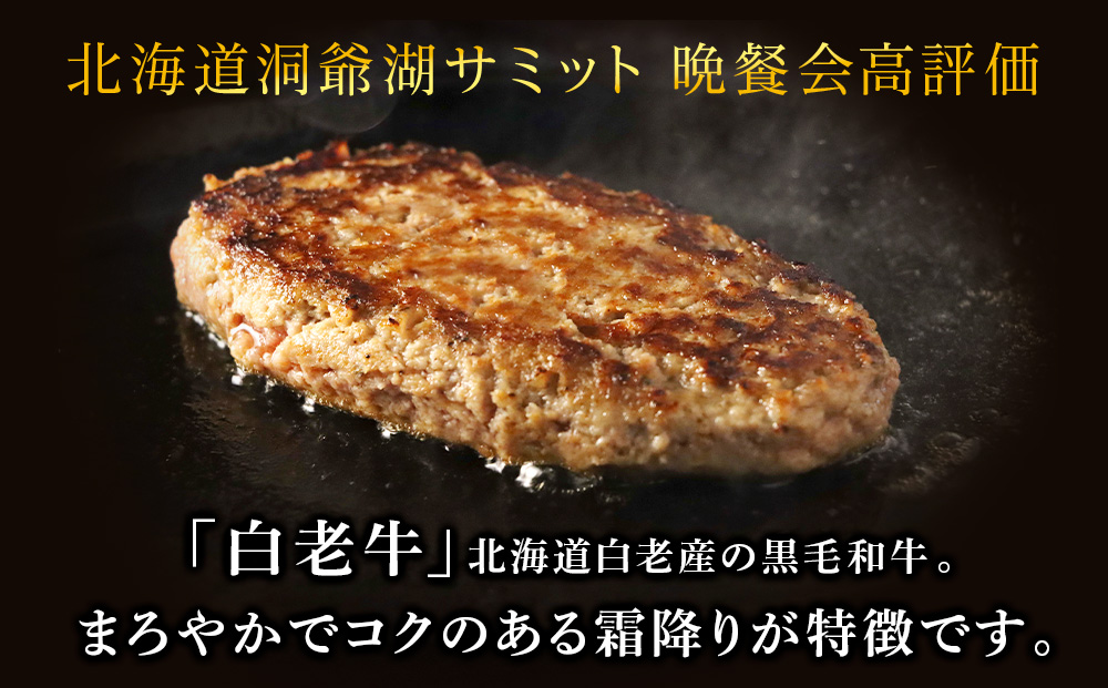 【5営業日以内発送】牛の里ビーフハンバーグ（110g×6個）特製ソース（6袋）の詰合せ AG106