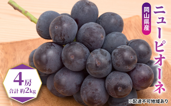 ぶどう 2026年 先行予約 ニュー ピオーネ 4房（合計約2kg） ブドウ 葡萄  岡山県産 国産 フルーツ 果物 ギフト 果物類 