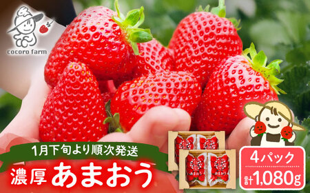 【先行予約】ココロファームの濃厚あまおう 270g×4パック[VAE022]