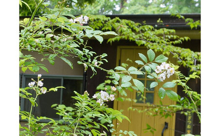 カウンセリング「ひみつの森の　ひみつのお話券」60分×1回分 相談 対面 長野県 長和町