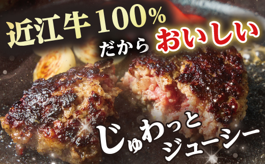 近江牛１００％　プレミアム生ハンバーグ　720g（約120g×6個）【FO18W】