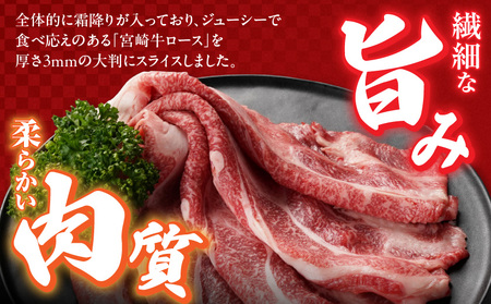 宮崎牛ローススライス400g≪大判サイズ≫_MJ-N304_(都城市) 宮崎県 都城市産 宮崎牛 ローススライス 霜降り 大判スライス 柔らかい コク 脂の甘み