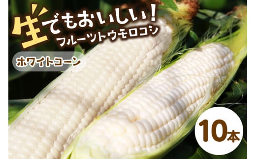 【先行予約】 生食も！高糖度！もぎたて！ フルーツトウモロコシ「ホワイトコーン」（2026年6月下旬～発送）　DE00134