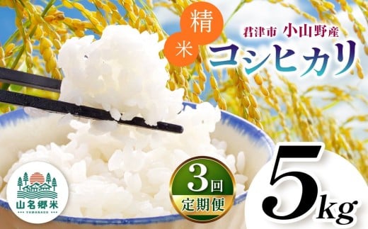 【 定期便 3回 】精米 令和7年産 君津市小山野産 コシヒカリ 5kg 3回 | あかかげ農園 千葉稲作 んまい こしひかり 千葉県産 せいまい 米 コメ こめ お米 千葉県 君津市 きみつ