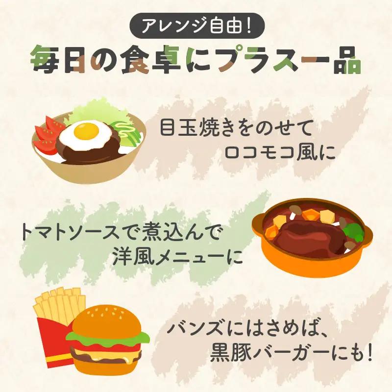 鹿児島県産 黒豚 生ハンバーグ 詰合せ K356-005 肉 豚肉 惣菜 総菜 冷凍