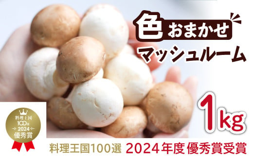 
八幡平マッシュルーム1kg 色はおまかせ ／ ジオファーム きのこ 茸 キノコ 料理
