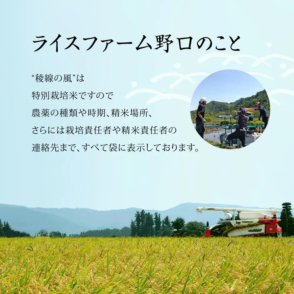 【信濃大町産】特別栽培米　稜線の風（ひとめぼれ） 10kg | ブランド 米 新米 長野 信州