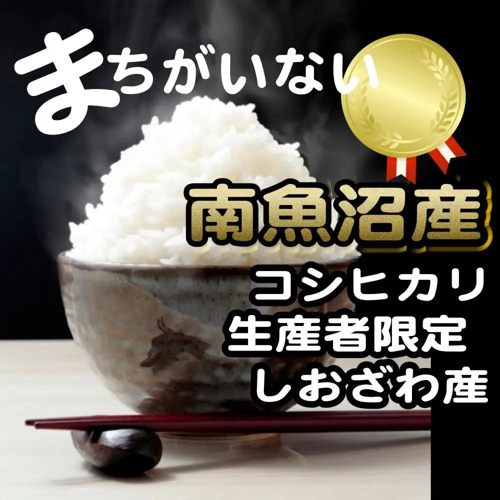 【令和8年　新米予約】【定期便】生産者限定 契約栽培　南魚沼しおざわ産コシヒカリ（5Kg×6ヶ月） | コシヒカリ【2026年10月上旬より1ヶ月以内に順次発送予定】