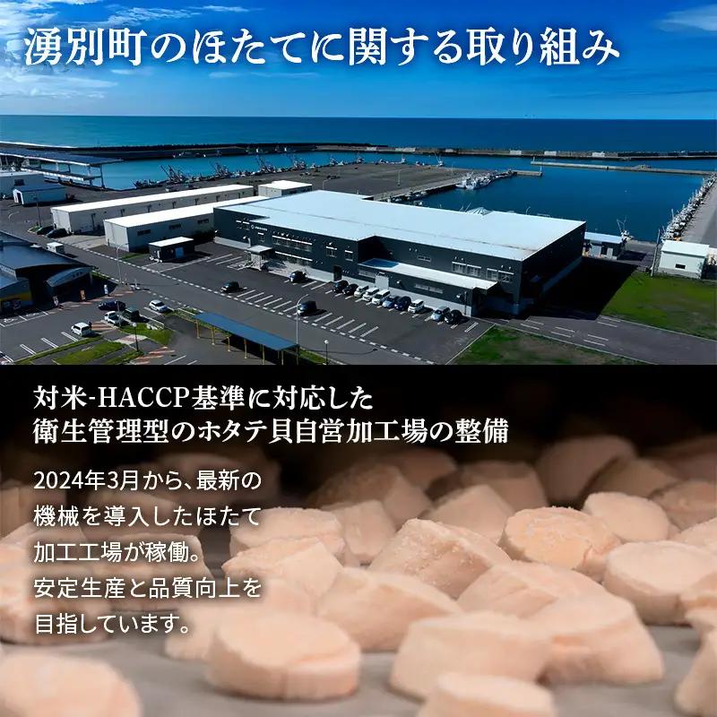 最短当日発送 湧別沖 ほたて貝柱 300g×1パック ほたて