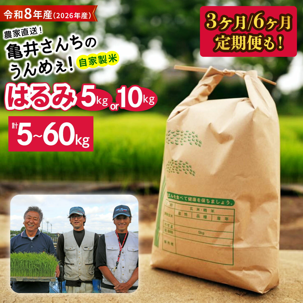 【ふるさと納税】新米 [令和8年産／10月中旬より順次発送] 伊勢原産 精米 5kg／10kg [1回発送／定期便3ヶ月／6ヶ月連続] はるみ 農家直送！亀井さんちのうんめぇ！自家製米 選べる内容量｜先行予約 お米 おこめ コメ 白米 神奈川 ブランド米 2026年 産地直送 [1135-1141]