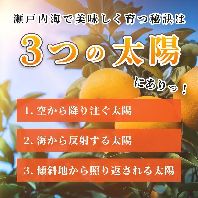 【先行予約】伊予柑 約10kg 愛媛県今治市