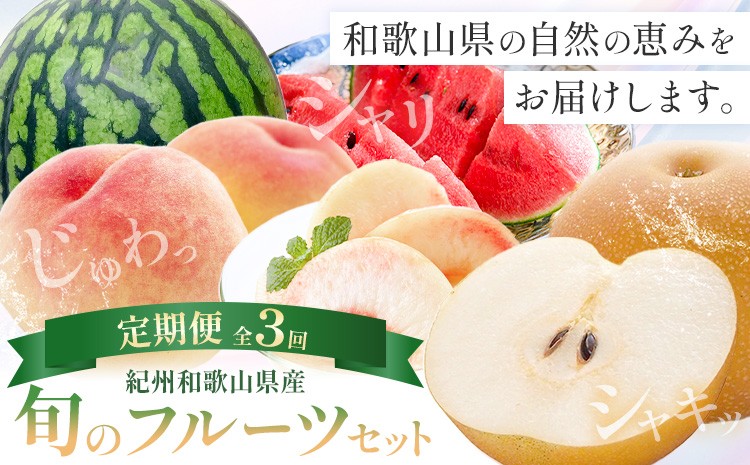 
                  紀州 和歌山県産 旬の フルーツ セット 3ヶ月定期便 6月・7月・8月配送 小玉スイカ （ひとりじめ） 1玉 桃 約1.8kg 梨 約2kg 株式会社魚鶴商店《6月中旬-8月下旬頃出荷》和歌山県 日高町 もも なし 定期便 果物 旬
                