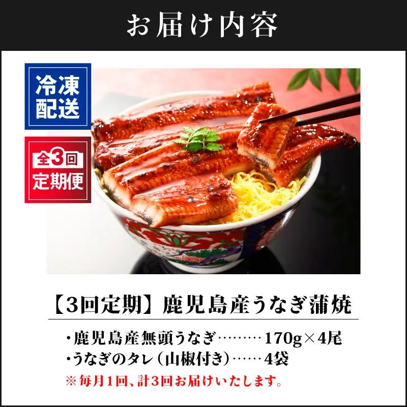 【 全3回 定期便 】 鹿児島産 うなぎ 蒲焼 170g×4尾 清らかな 地下水 育ち！ KN021-T31 ウナギ 鰻 冷凍