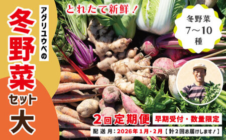 【 2回定期便 早期受付 数量限定 】アグリユウベの冬野菜セット (大) とれたて 新鮮 農家直送 国産 野菜 野菜便 やさい 野菜 冬野菜 産地直送 国産 旬 高知県 四万十市 四万十 しまんと 定期便 【配送月：2027年1月・2月】26-985