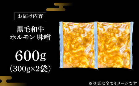 黒毛和牛ホルモン 味噌 600g （300g×2袋） [AZCW053] 黒毛和牛