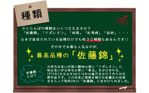 ★母の日★山形さくらんぼ 佐藤錦 L 24粒チョコ箱メッセー