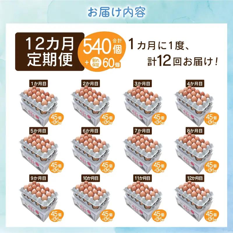 【12ヶ月定期便】”忍野の卵”コクの赤玉50個×12回 ※割れ保証含む 卵