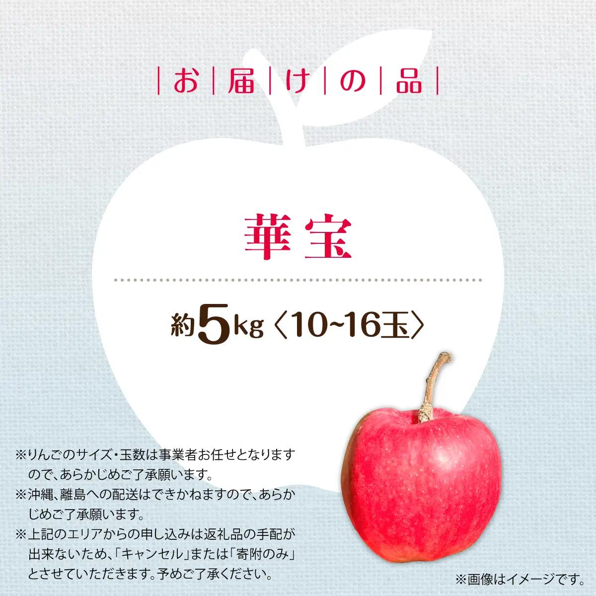 【先行予約】＜2026年10月上旬よりお届け＞北海道壮瞥町　りんご　品種名「華宝」10～16玉約5kg SBTF015