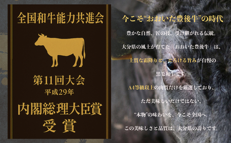 全農おおいた 豊後牛 小間切れ 400g 豊後牛 大分 牛肉 小間切れ こま切れ 黒毛和牛 和牛 牛 丼 しゃぶしゃぶ 炒め物 野菜炒め 料理 国産 焼き肉 すき焼き お肉 スライス 霜降り 薄切り 