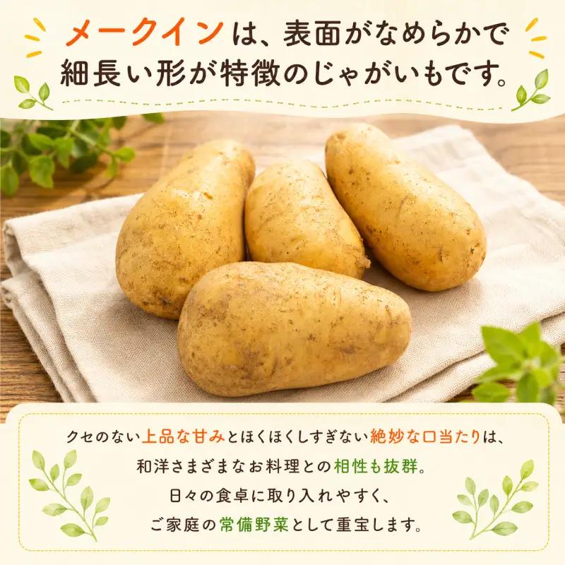 じゃがいも 訳あり 4kg TNK013 じゃがいも