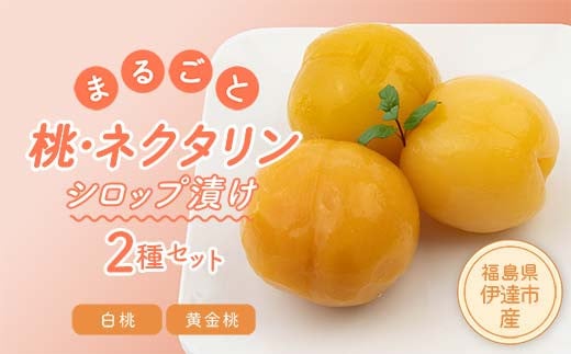 
            まるごと桃・ネクタリン2種セット（白桃2つ、黄金桃1つ） F20C-335
          
