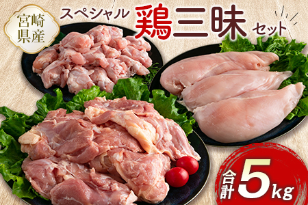 宮崎県産鶏肉 スペシャル鶏三昧セット 合計5kg【B607-2505】