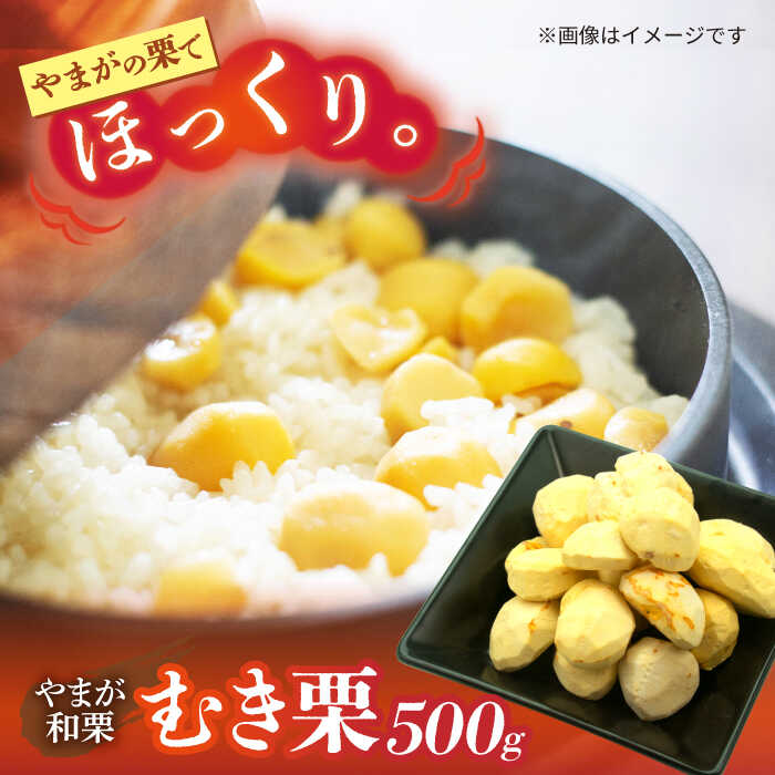 【ふるさと納税】【先行予約】 むき栗 約500g（約250g×2pc） 【すみれファーム】[ZEP059]