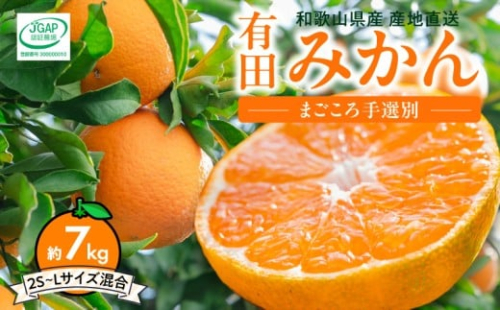 ZE6518_【2026年先行予約】【秀品】和歌山県産 有田みかん 約7kg (2S～Lサイズ混合)【まごころ手選別】