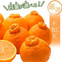 【ふるさと納税】【選べる容量】＜先行予約＞厳選 不知火 1.2kg 2kg 3kg 5kg【デコポンと同品種・人気の春みかん】＜2月より発送＞ ※北海道・沖縄・離島への配送不可 / しらぬい デコポン みかん ミカン 柑橘 果物 くだもの フルーツ 果実