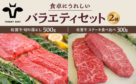 佐賀牛バラエティセット （切り落とし 500g＆ステーキ食べ比べ 300g）/ 牛肉切り落とし ステーキ [IAH203]