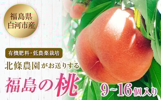 《先行予約》北條農園がお送りする 福島の桃（9～16個） もも 桃 モモ 有機肥料 低農薬栽培 黄桃 白桃 F21R-099