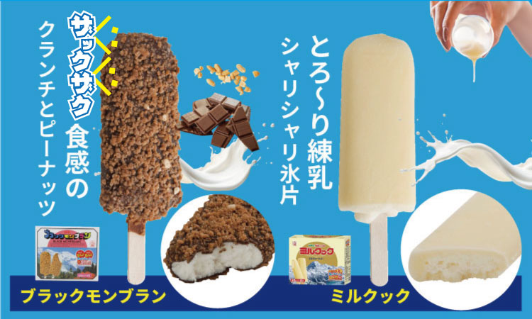 竹下製菓アイスバラエティ8箱セット ブラックモンブラン ミルクック　アイスクリーム スイーツ お菓子 バニラ チョコ クランチ 佐賀 九州 限定 詰め合わせ 小分け アソート ギフト 地方 ご当地 お