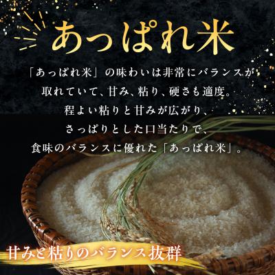 ふるさと納税 津別町 【令和8年産・先行受付】北海道産 津別町あっぱれ米(精米)10kg |  | 01