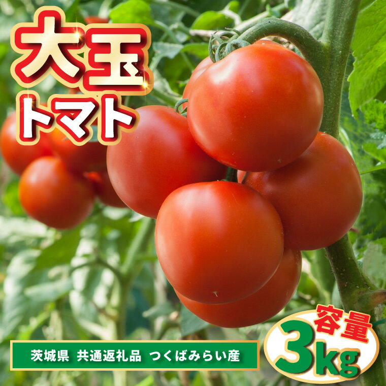 【ふるさと納税】大玉トマト　　3kg 　　(県内共通返礼品:つくばみらい市産)【配送不可地域：離島・沖縄県】 (BR086)