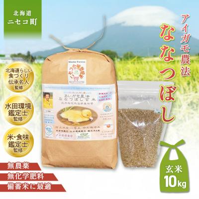 ふるさと納税 ニセコ町 《数量限定先行受付!令和8年産米》ななつぼし【玄米】10kg(1kg×10袋)【3114003】