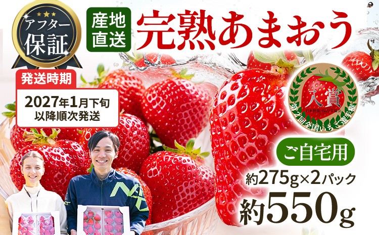 
                  アフター保証 あまおう 約550g（約275g×2パック）【先行受付／2027年1月下旬以降順次発送予定】いちご 大粒 不揃い 苺 イチゴ 福岡高級 フルーツ 土産 福岡県 あかい まるい おおきい うまい ichigo strawberry ストロベリー 果物 旬 冷蔵 福岡県産 アマオウ amaou デザート おやつ お取り寄せ くだもの 青果物 数量限定 期間限定
                