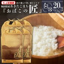 【ふるさと納税】※令和6年産 新米予約※ 【6ヶ月定期便】秋田県産おばこの匠あきたこまち　20kg （5kg×4袋）白米