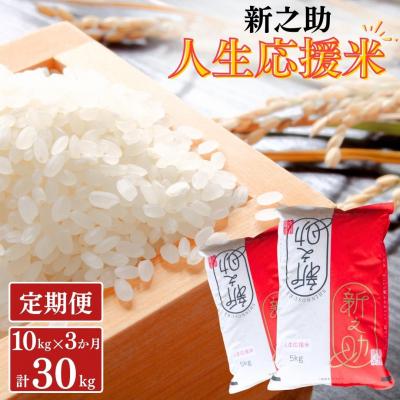 ふるさと納税 三条市 [定期便10kg×3か月] 新之助人生応援米 令和7年産 計30kg 新之助 【070S009】